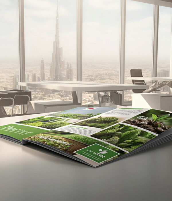 Brochure Design